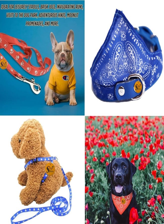 Sage Square Adjustable Scarf Cum Bandana Cum Neckerchief Collar for Dog/Cat/Puppy/Kitten + Red Harness Leash Set - Comfortable & Stylish Pet Walking Accessories for Dogs & Cats, Comfortable, Stylish - Image 2